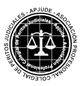 Peritaje Judicial De Alfombras Persas y Orientales